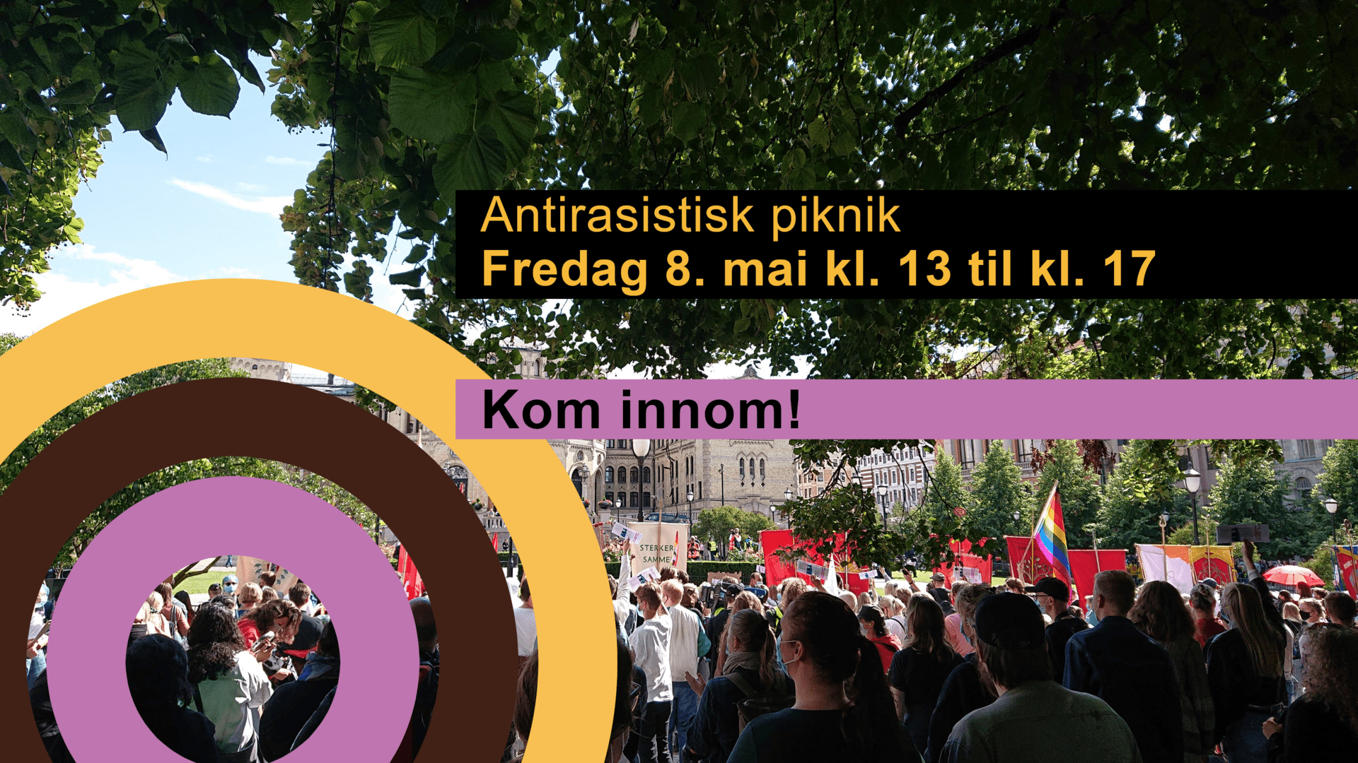 Antirasistisk piknik på Eidsvolls plass